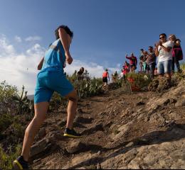 Transvulcania