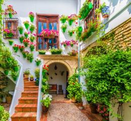 Patio cordobés