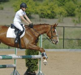 Salto