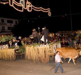 Desfile de carrozas