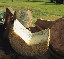 Queso cabrales.