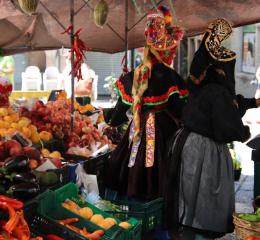 Mercado Plasencia