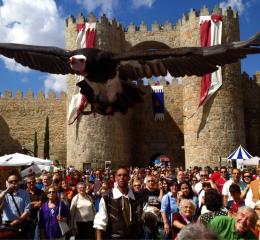 Fiesta medieval de Ávila