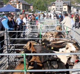 FEria ganadera de Vielha