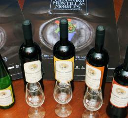 Vinos de Montilla-Moriles