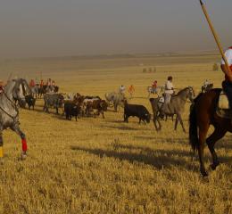 Encierro campestre