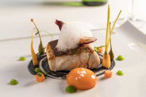 Gastro 2
