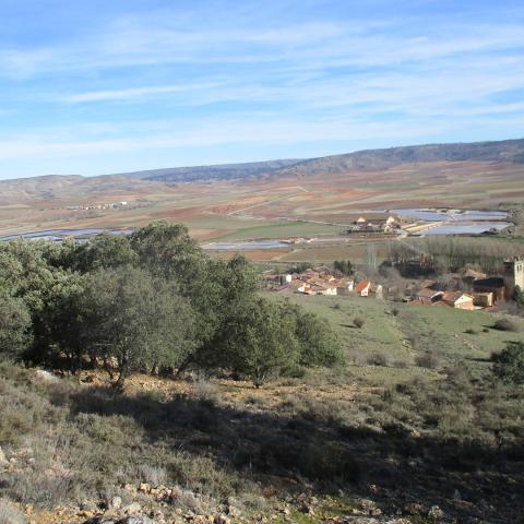 Naturaleza para los Sentidos en los Paradores de Molina de Aragón y Sigüenza: Sal y cielo