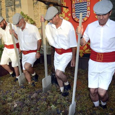 Fiesta de la vendimia