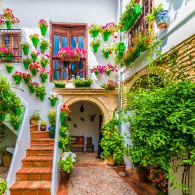 Patio cordobés