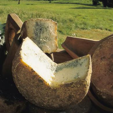 Queso cabrales.