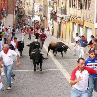 Encierros de Cuéllar recorrido urbano (Turismo de Cuéllar)