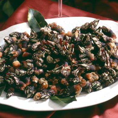 Percebes