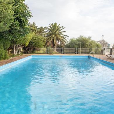 Imagen de la piscina del Parador de Melilla con vegetación alrededor