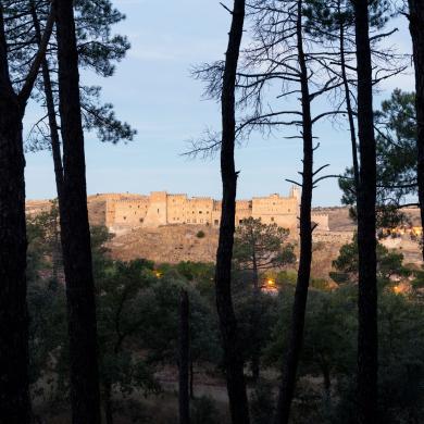 Vista desde los árboles del castillo del Parador de Sigüenza