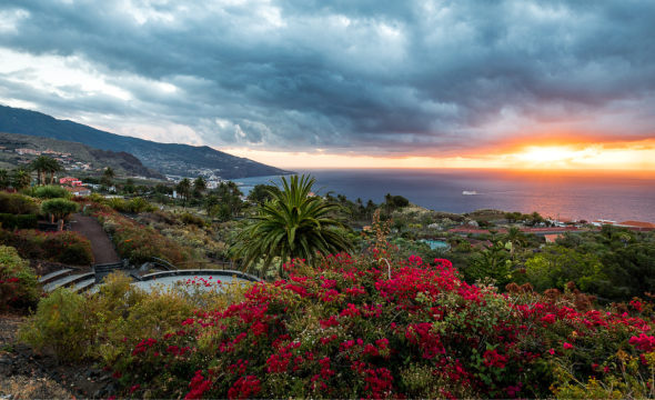 Jardin Parador de La Palma