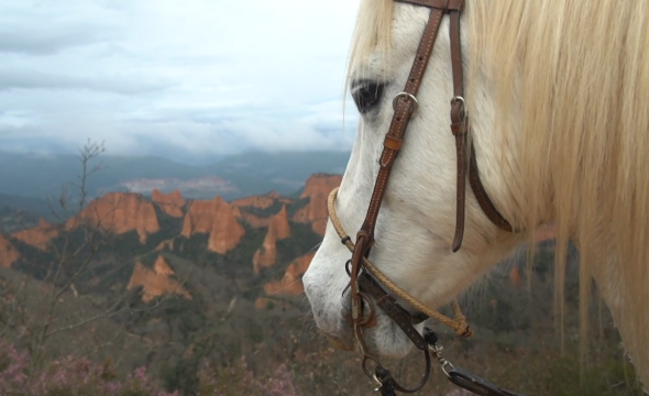 Actividad Médulas a Caballo