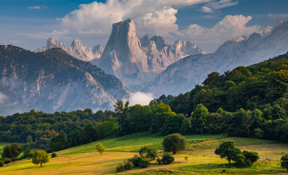 Naranjo de bulnes