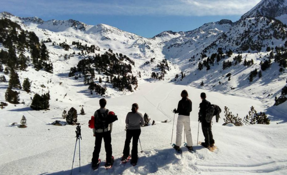 Actividad Naturaleza para los sentidos: caminos de nieve