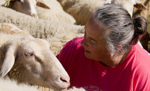 Actividades del programa de Paradores: Naturaleza para los Sentidos