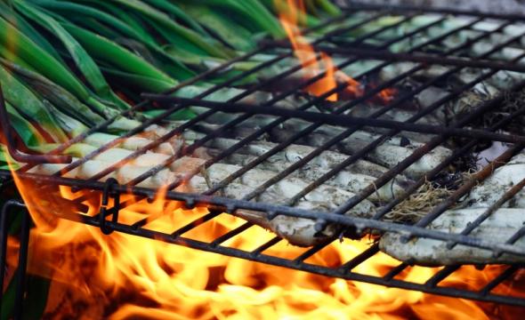 Calçots