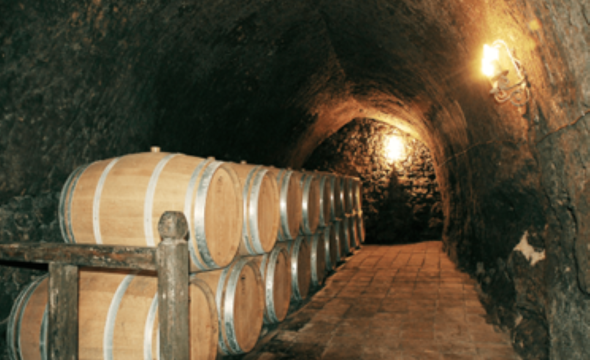 Celler Carviresa