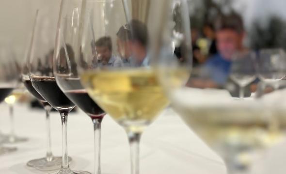 Cata con Clos de Pons en 2023