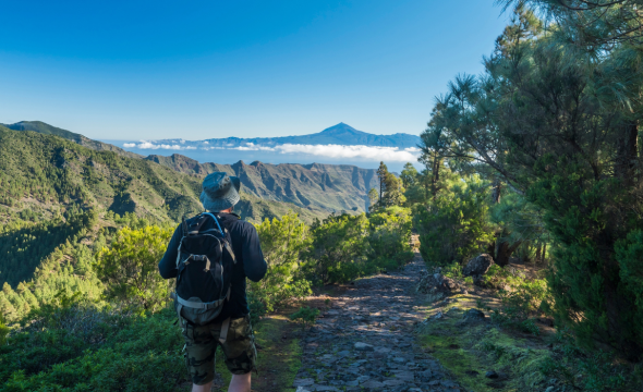 Parque Garajonai en La Gomera