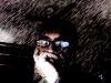 Profile picture for user 20225579