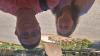 Profile picture for user 21119177