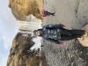 Profile picture for user 20745865