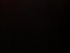 Profile picture for user 16364937
