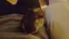 Profile picture for user 12853388
