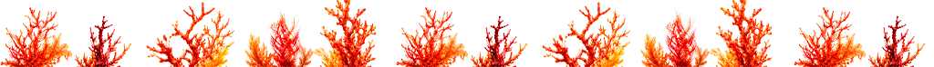 Imagen decorativa de fondo marino
